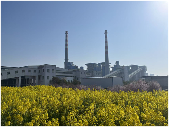 1743475722731.jpg 1743475722731.jpg